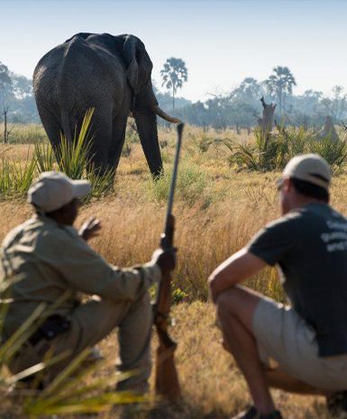 Walking Safari